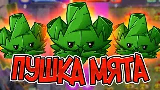 PvZ 2. НОВАЯ МЯТА: ПУШЕЧНАЯ СИЛА!