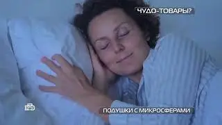 Великий учёный признался, что его слова не имеют смысла!