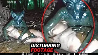 Most UNSETTLING Camping Moments Caught on Camera