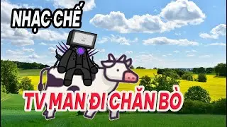 TV MAN CHĂN BÒ VÀ CÁI KẾT