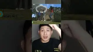 CEWEK HAMIL DIMAKAN BUAYA SAAT AMBIL AIR SUNGAI | Yosua Andre 