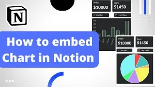 How to embed a chart  in Notion