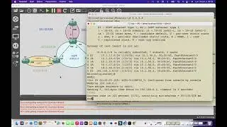 4- Configurer Totally Stub Router