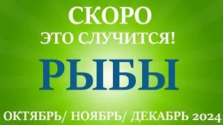 РЫБЫ ♓ таро прогноз на ОКТЯБРЬ, НОЯБРЬ, ДЕКАБРЬ 2024🌷 4  триместр года! Главные события периода!