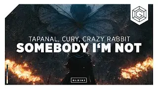 TAPANAL, Cury & Crazy Rabbit - Somebody I'm Not (Official Music Video)