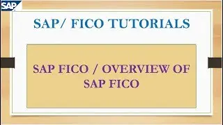 SAP FICO / Overview of SAP FICO