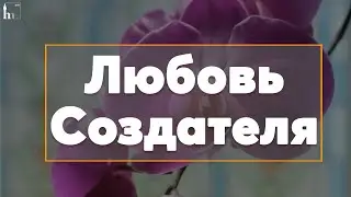 Любовь Создателя | Тулкын хазрат