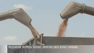 В Молдове требуют запретить ввоз зерна с Украины