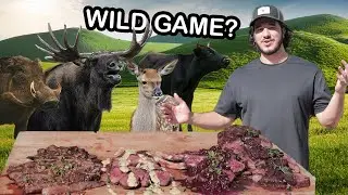 I Cooked 4 WILD GAME recipes... You'll NEVER guess my favorite.