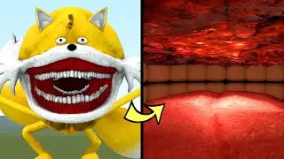 WHAT'S INSIDE THE TAILS TAPES in Garry's Mod!