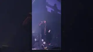 Billie performing “All I Wanted” with Paramore at the Forum