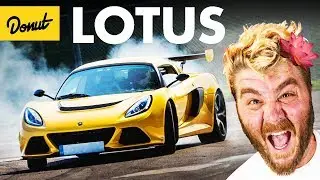 LOTUS - Everything You Need to Know | Up To Speed