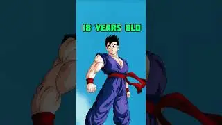 Gohan's Age in Each Arc