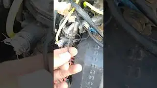 Подключение электроклапана Honda Dio AF 34 35 ZX GBLK GBL