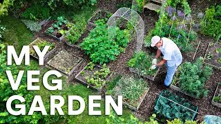 My Ultra Low-Maintenance Garden: The Full Tour