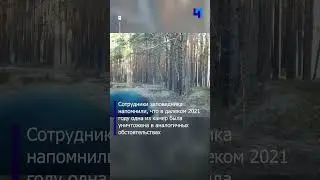 Дятел попытался разбить фотоловушку в Нижне-Свирском заповеднике. Опять.