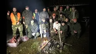 ОХОТА на ЛОСЯ. Добыли двух лосей на ЗАГОННОЙ ОХОТЕ.