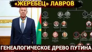 «Жеребец» Лавров, декорация ПМЭФ и генеалогическое древо Путина