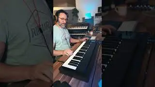 What does REAL Adventure Music sound like? 🦧