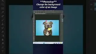 Photoshop Change Background Color of an Image Tutorial