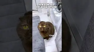 Постой! А можно, я с тобой? 