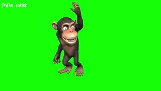 Dans Eden Maymun Green Screen /MONKEY DANCING GREEN SCREEN /dancing monkey green screen 3d
