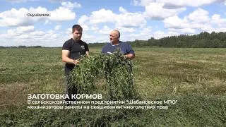 Заготовка кормов