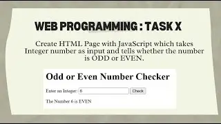 Create an Odd or Even Checker with JavaScript | HTML & JS Beginner Tutorial | University Hub