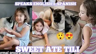 THIS IS HOW TILI BOLZ LOVE HER DOG | ALL OUT CELEBRITY ENTERTAINMENT