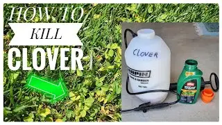 Ortho WeedClear Clover Killer Review & How To Mix