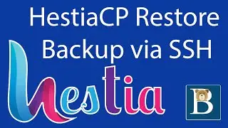 Hestia backup restore SSH   - Import HestiaCP backup command line