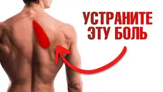 Болит ромбовидная мышца? Как устранить боль под лопаткой?👌