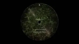 Morten B. - Bartholomea