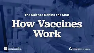 How Vaccines Work