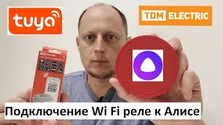 Подключение Wi-Fi реле ВФ-МК1-01 TDM ELECTRIC к Яндекс Алисе.