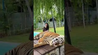 Содержать очень дорого!