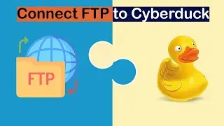 How to Connect FTP in cPanel Using Cyberduck | Bangla Tutorials