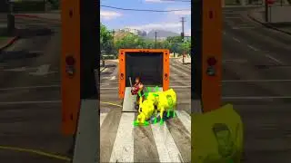 Dogs teach us love in its purest form EP-80😯 