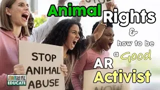 Animal Rights & How To Be a Good Animal Rights Activist