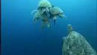 The Beautiful Planet Earth 2