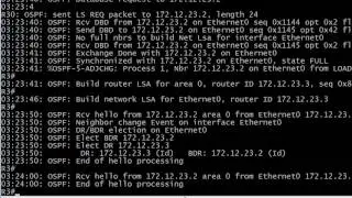 363 OSPF Timers ADJ Debugs And Explanations