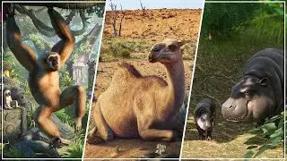 New Planet Zoo Console Animals & PC Pack Coming Soon?!