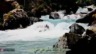 قران كريم | تلاوه هادئ تريح القلب والاعصاب 🤍 | إنا لله وملائكته يصلون على النبي #صلوا_على_النبي