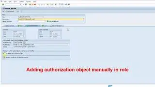 How to insert or delete authorizations manually in SAP Roles | SAP Security