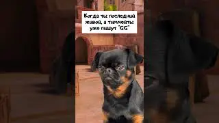 Когда ты последнийживой, а тиммейтыуже пишут GG #shorts #standoff2 #стандофф2