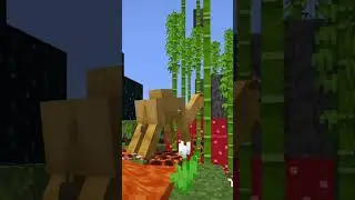*Normal Minecraft* ⛏💎