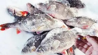 Выманивает всю пассивную рыбу, снасть для рыбалки со льда.