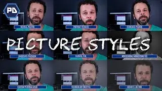 Picture Styles, Cinestyle e C-Log V100