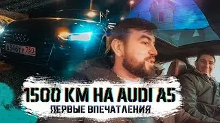 1500 километров на новой ауди а5 купе. Небольшой тест-драйв audi a5