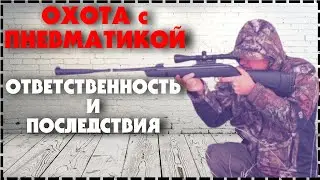 Охота С Пневматикой В России? / Ответственность и Последствия